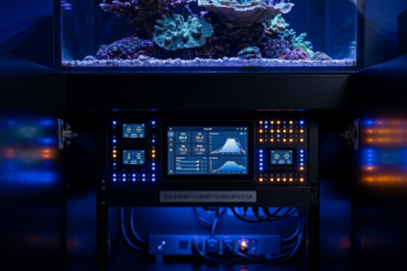 Why Every Reef Tank Needs a Controller: A Guide to Aquarium Automation